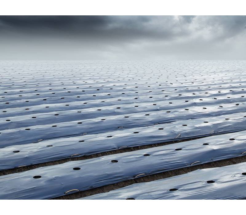 Çilek Naylonu Çilek Naylonu