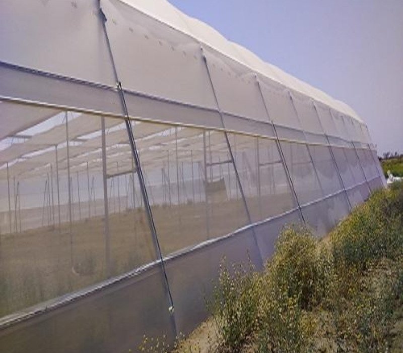 insectnet (böcek tülü) 25-40-50 mesh