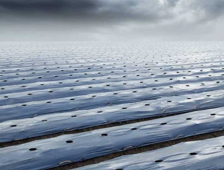 sera ve toprak üstü plastikler