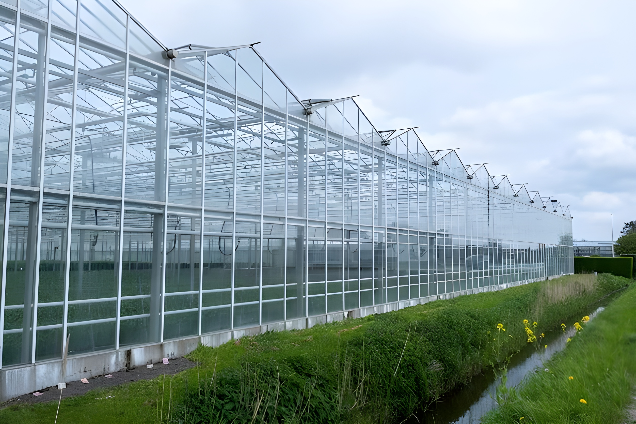 Anahtar Teslim Sera Kurulumu