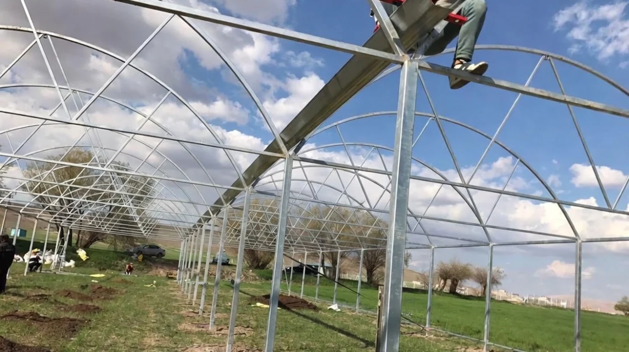 Step-by-step greenhouse installation process illustration